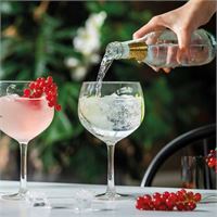 BICCHIERE DA GIN